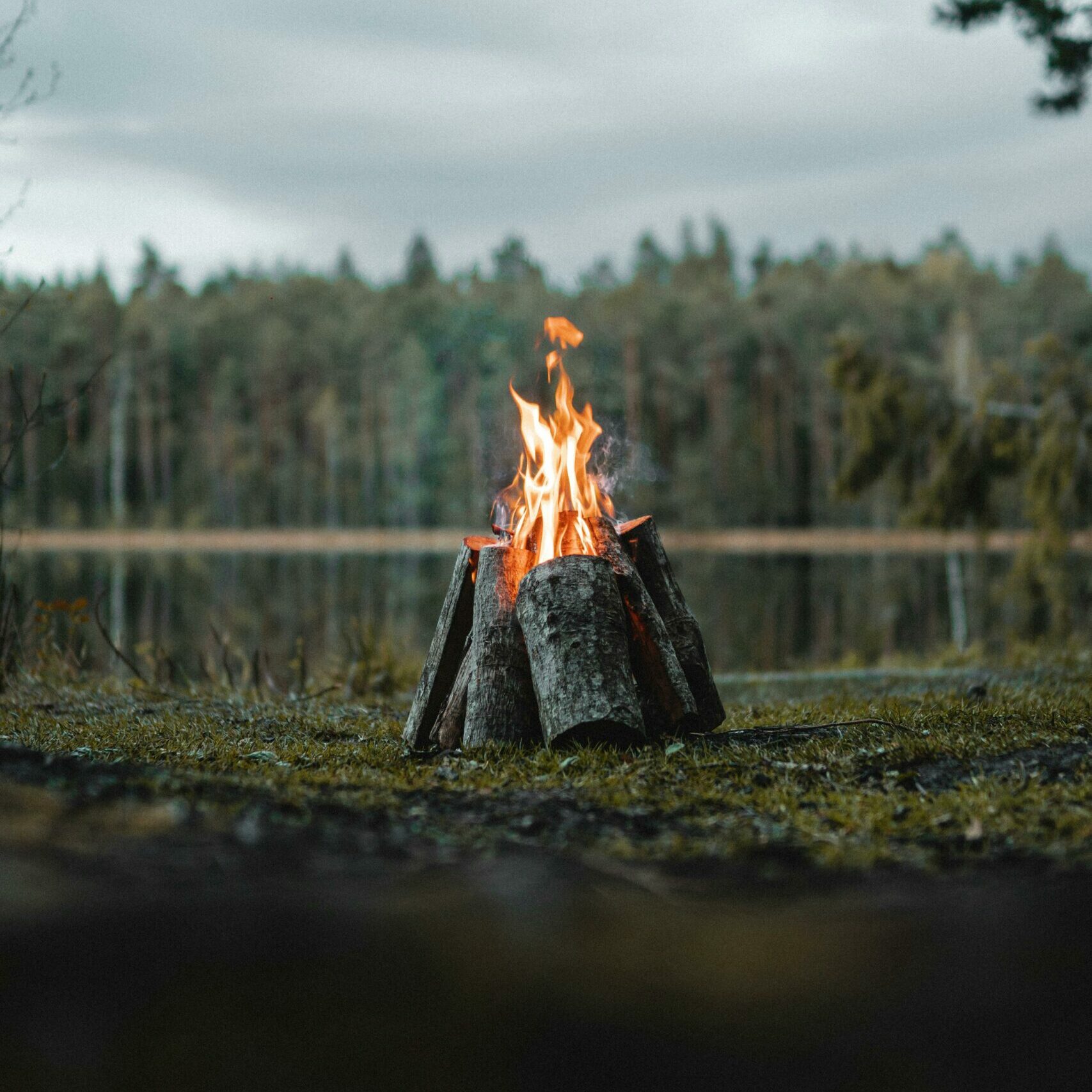 A tranquil campfire in a forest setting beside a calm lake under cloudy skies.