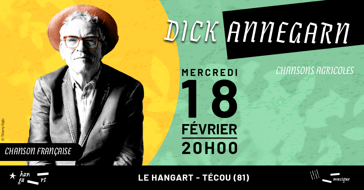 Dick Annegarn